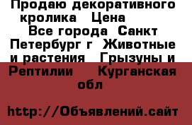 Продаю декоративного кролика › Цена ­ 500 - Все города, Санкт-Петербург г. Животные и растения » Грызуны и Рептилии   . Курганская обл.